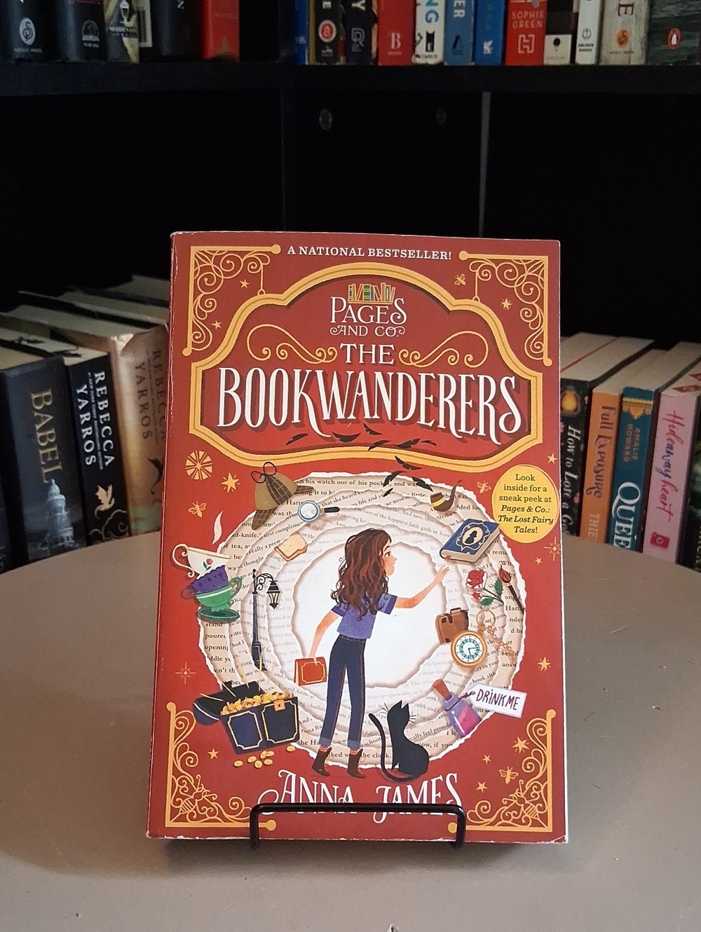 The Bookwanderers by Anna James